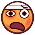 [em_EmojiDex:受伤]