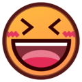 [em_EmojiDex:斜眼笑]