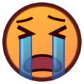 [em_EmojiDex:放声大哭]